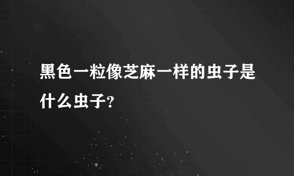 黑色一粒像芝麻一样的虫子是什么虫子？