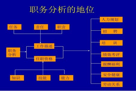 工作职务怎么填写才正确