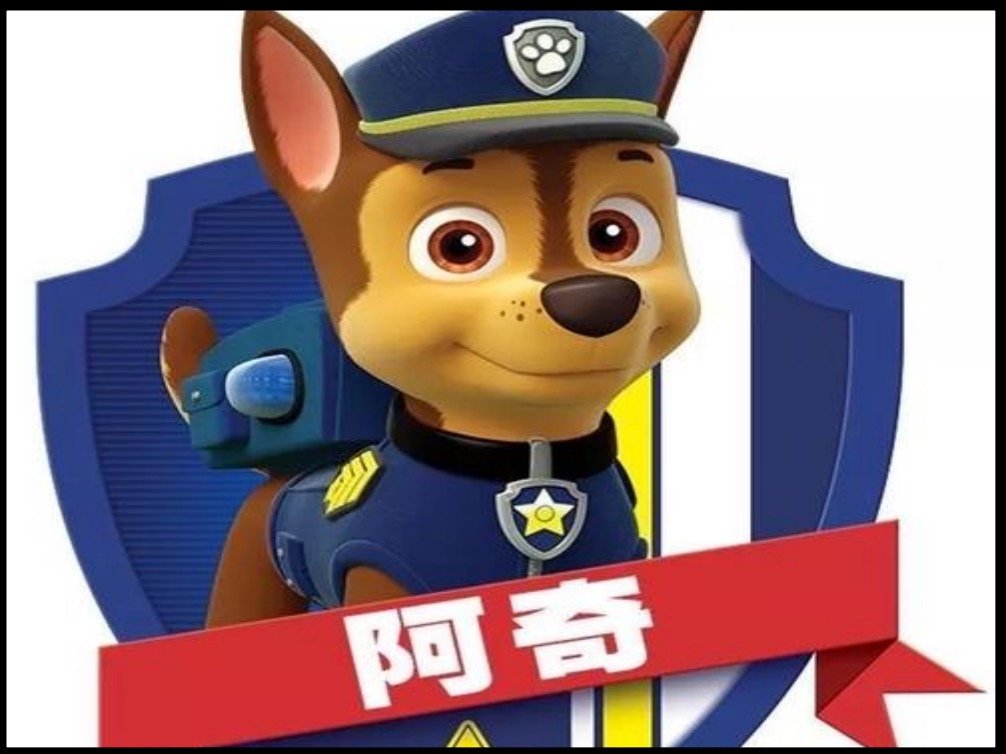 汪汪队狗狗名字