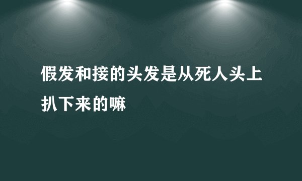 假发和接的头发是从死人头上扒下来的嘛