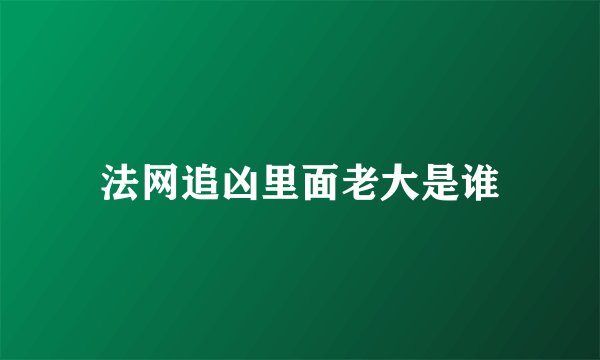 法网追凶里面老大是谁