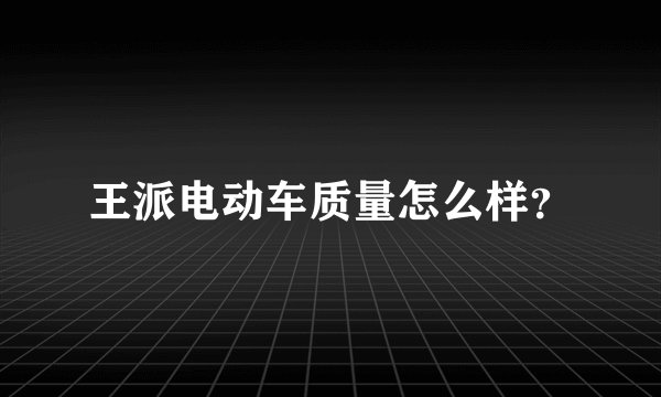 王派电动车质量怎么样？