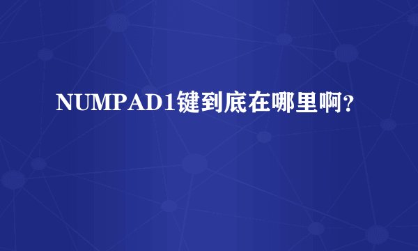 NUMPAD1键到底在哪里啊？