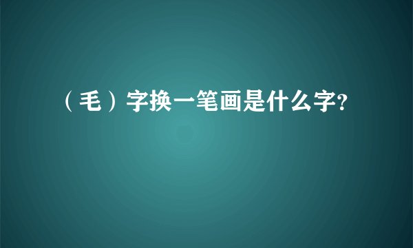 （毛）字换一笔画是什么字？