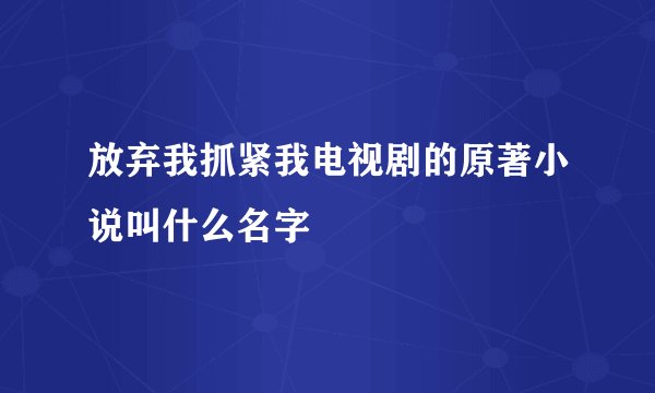 放弃我抓紧我电视剧的原著小说叫什么名字