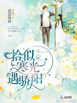 求《恰似寒光遇骄阳》txt，百度云或微盘的