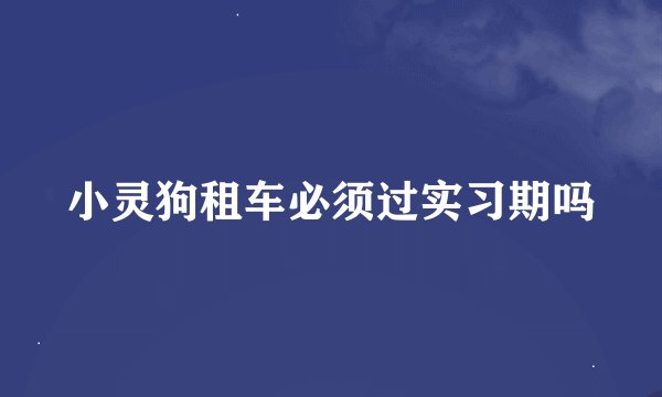 小灵狗租车必须过实习期吗