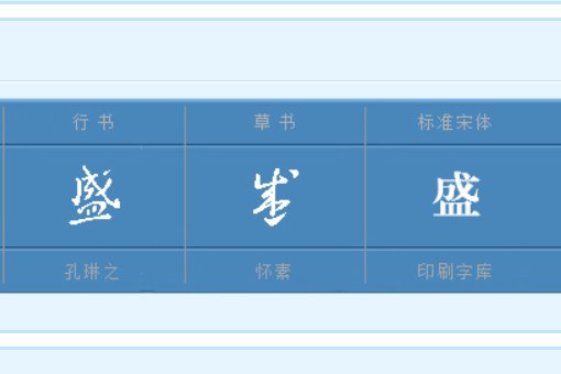 盛的多音字组词