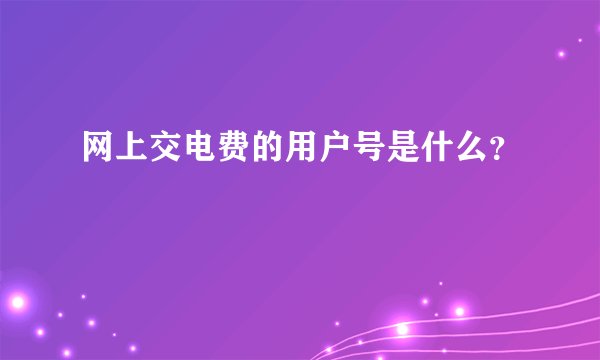 网上交电费的用户号是什么？