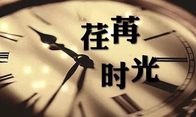 时光如梭的下一句是什么？