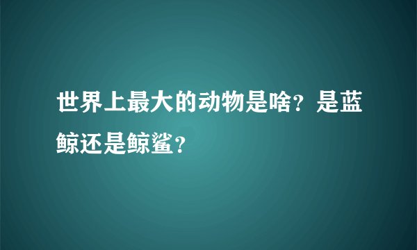 世界上最大的动物是啥？是蓝鲸还是鲸鲨？