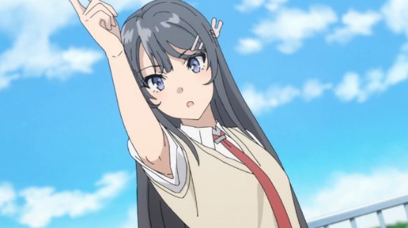 青春猪头少年结局是什么?