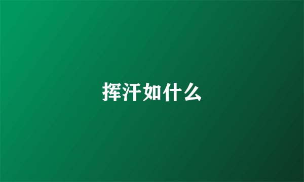 挥汗如什么