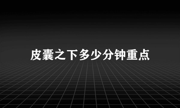 皮囊之下多少分钟重点