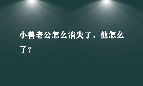 小兽老公怎么消失了，他怎么了？