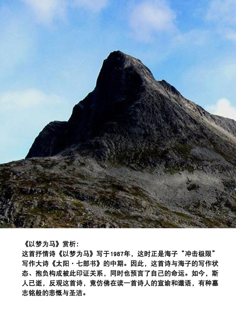 以梦为马,不负韶华全诗是什么?