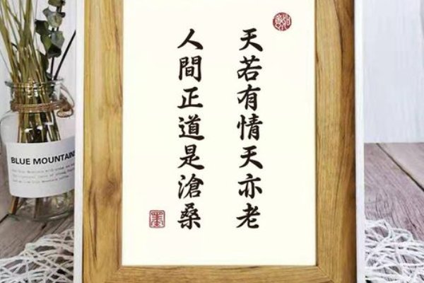 人间正道是沧桑的上一句是啥