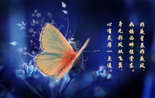 身无彩凤双飞翼心有灵犀一点通的意思是什么