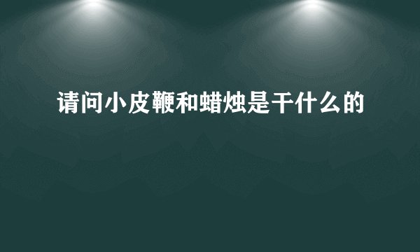 请问小皮鞭和蜡烛是干什么的