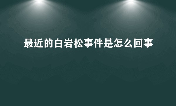 最近的白岩松事件是怎么回事