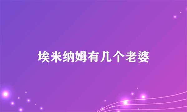 埃米纳姆有几个老婆