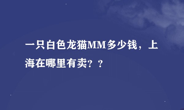 一只白色龙猫MM多少钱,上海在哪里有卖??