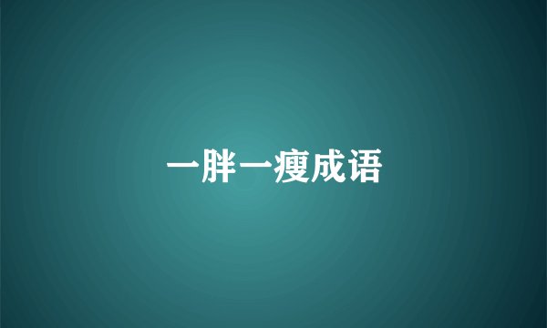 一胖一瘦成语
