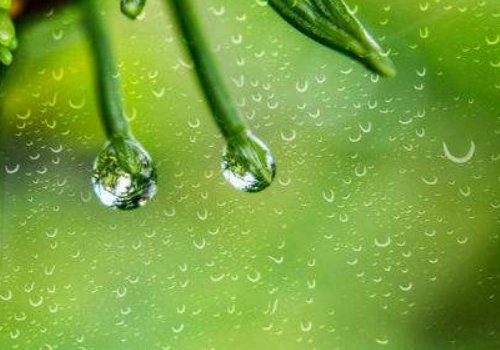 小学语文《春雨》内容滴嗒滴嗒下雨了，种子说：“下吧下，吧我要发芽；麦苗说：“下吧、下吧、我要长大”