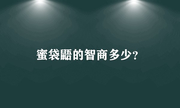 蜜袋鼯的智商多少？