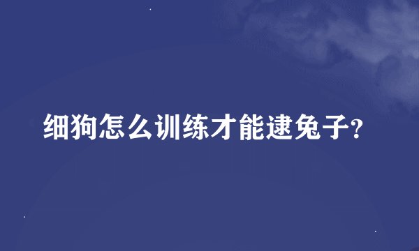 细狗怎么训练才能逮兔子？