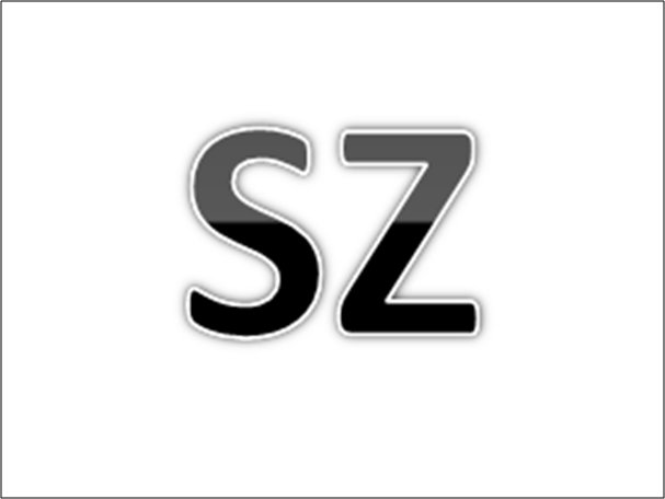sz是什么意思网络
