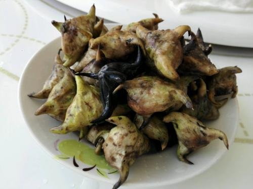 菱角要煮多长时间才熟啊？