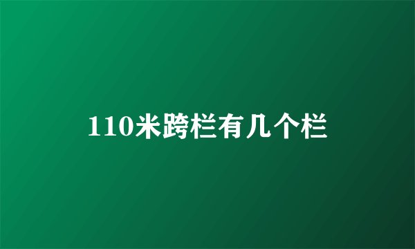 110米跨栏有几个栏
