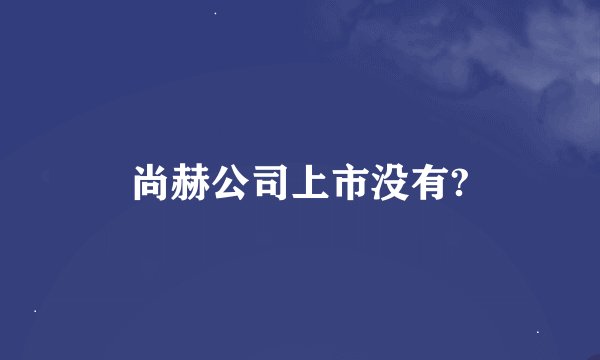 尚赫公司上市没有?