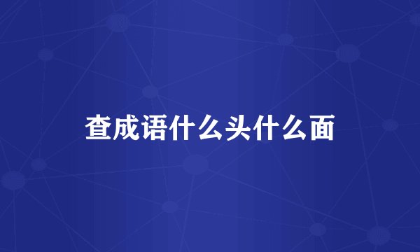 查成语什么头什么面