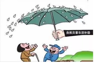 家庭遭受自然灾害情况应该怎么写