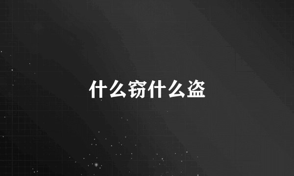 什么窃什么盗