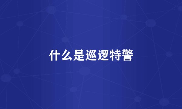 什么是巡逻特警