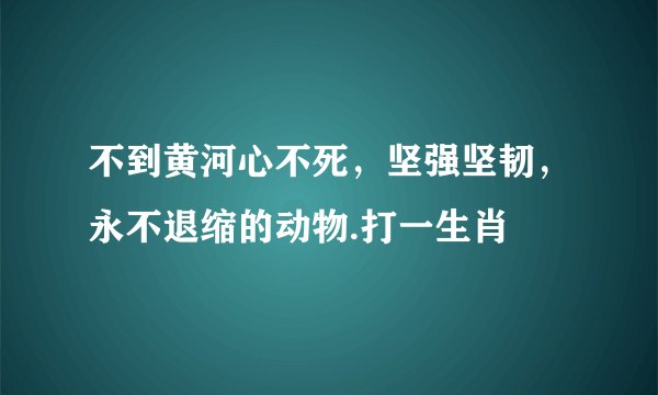 不到黄河心不死，坚强坚韧，永不退缩的动物.打一生肖