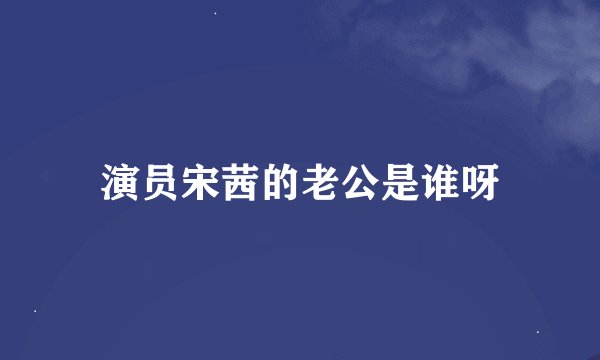 演员宋茜的老公是谁呀