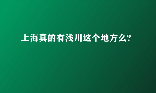 上海真的有浅川这个地方么?