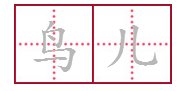 鸟儿怎么拼写