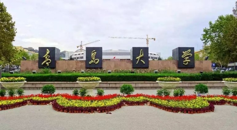 青岛大学和山东师范大学哪个好
