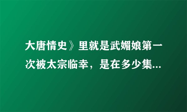 大唐情史》里就是武媚娘第一次被太宗临幸，是在多少集？ 还有妩媚娘和太宗在龙床上的镜头在多少集？边秦岚