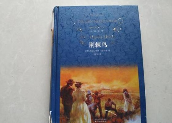 荆棘鸟的象征意义是什么