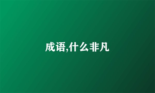 成语,什么非凡