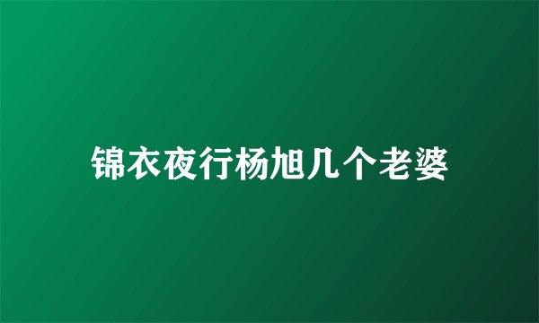 锦衣夜行杨旭几个老婆