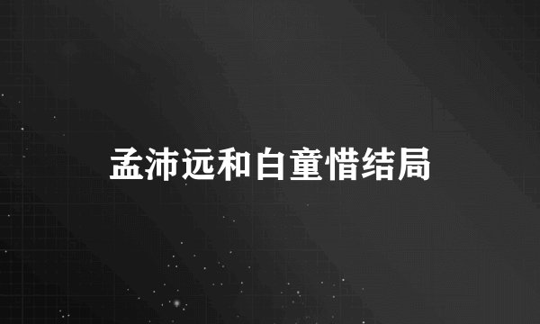 孟沛远和白童惜结局