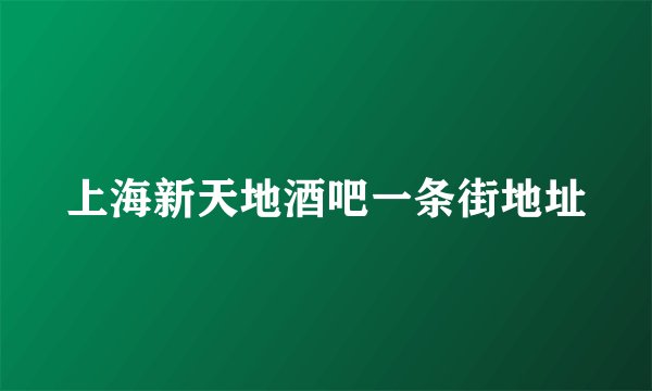 上海新天地酒吧一条街地址