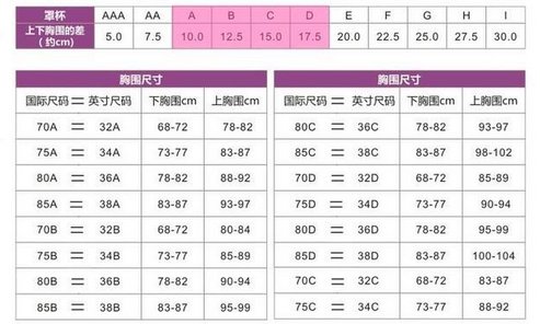 32b胸围是多少
